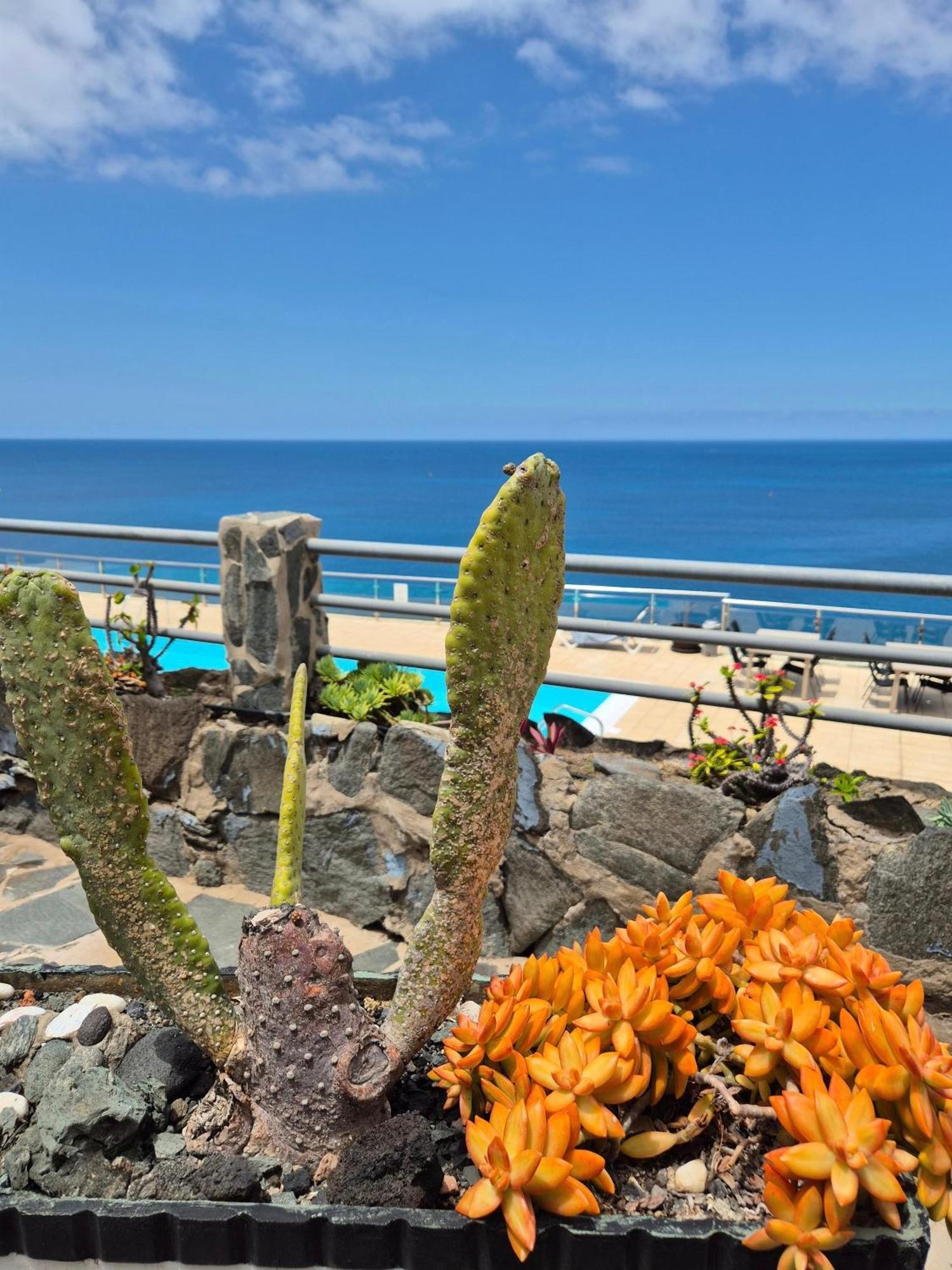 Very Romantic Seaview Apartment Patalavaca Mogan With Warm Pool Екстериор снимка